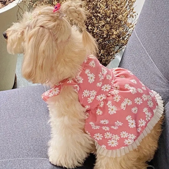 Adorable Dog/cat Daisy design dress, lightweight Large in pink - Picture 3 of 4